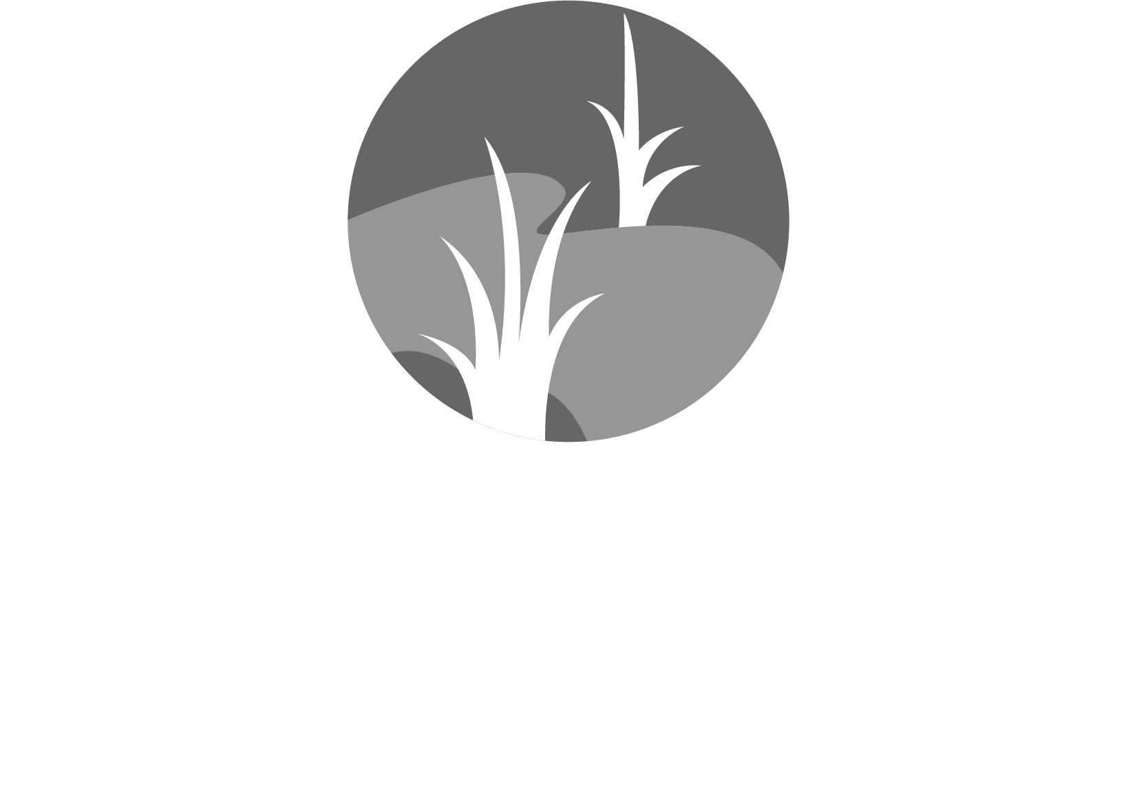 Foxtail Glen on White Pond